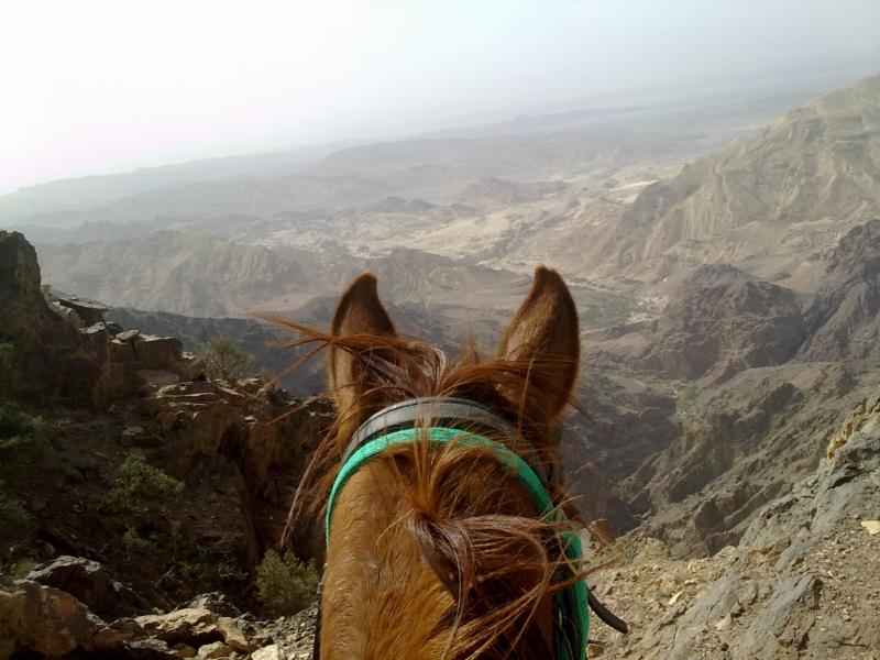 Bedouin Cowboys Horseback tour
